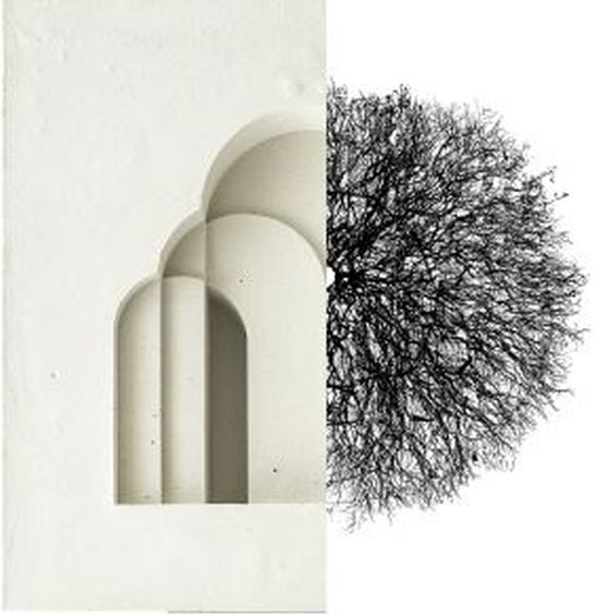 fotografía en blanco y negro estructura