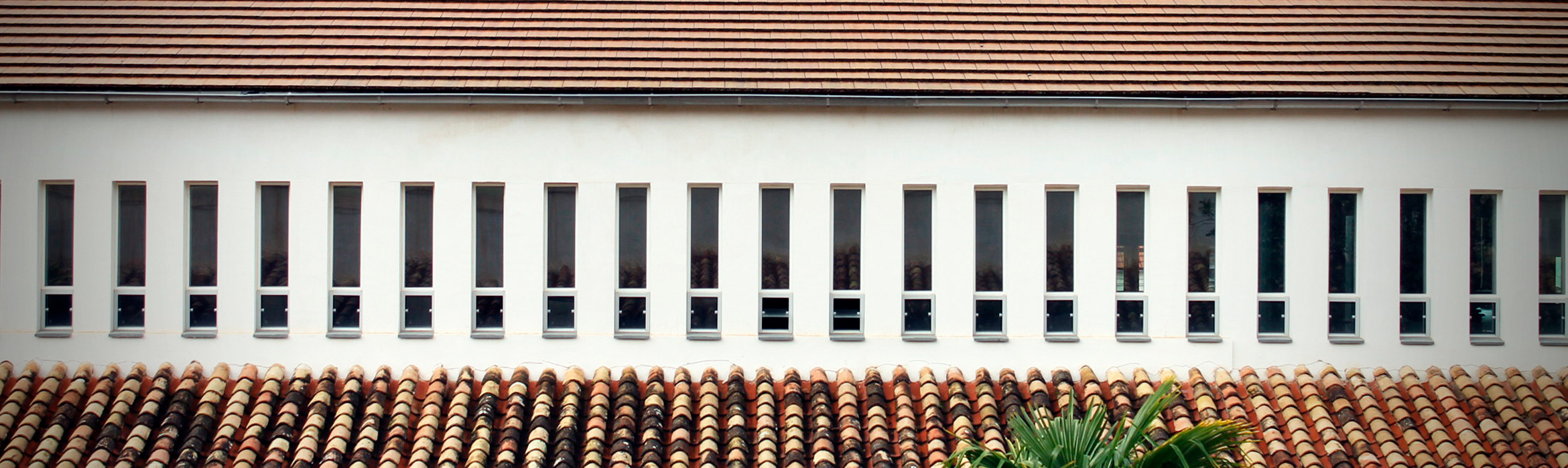 Imagen en la que se muestra el tejado de un edificio con varias ventanas