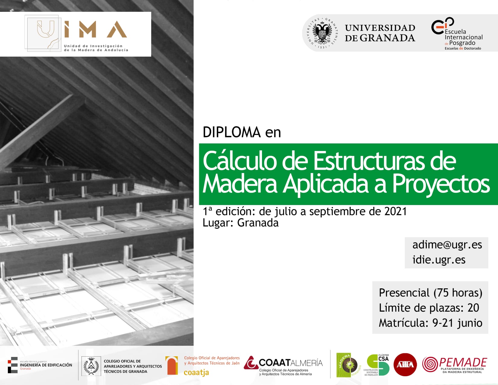 Diploma en cálculo de estructuras de madera aplicada a proyectos (1ª edición)